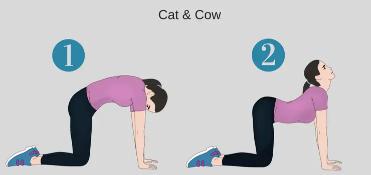 ورزش دیسک کمر مهره 4و5