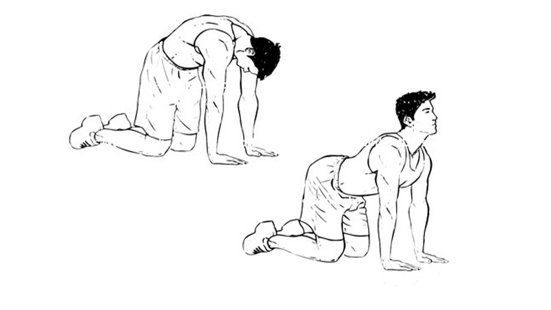 ورزش دیسک کمر مهره 4و5، حرکت گربه - شتر ورزش کمر