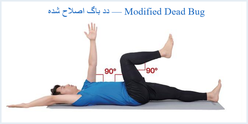 دد باگ اصلاح‌ شده — Modified Dead Bug