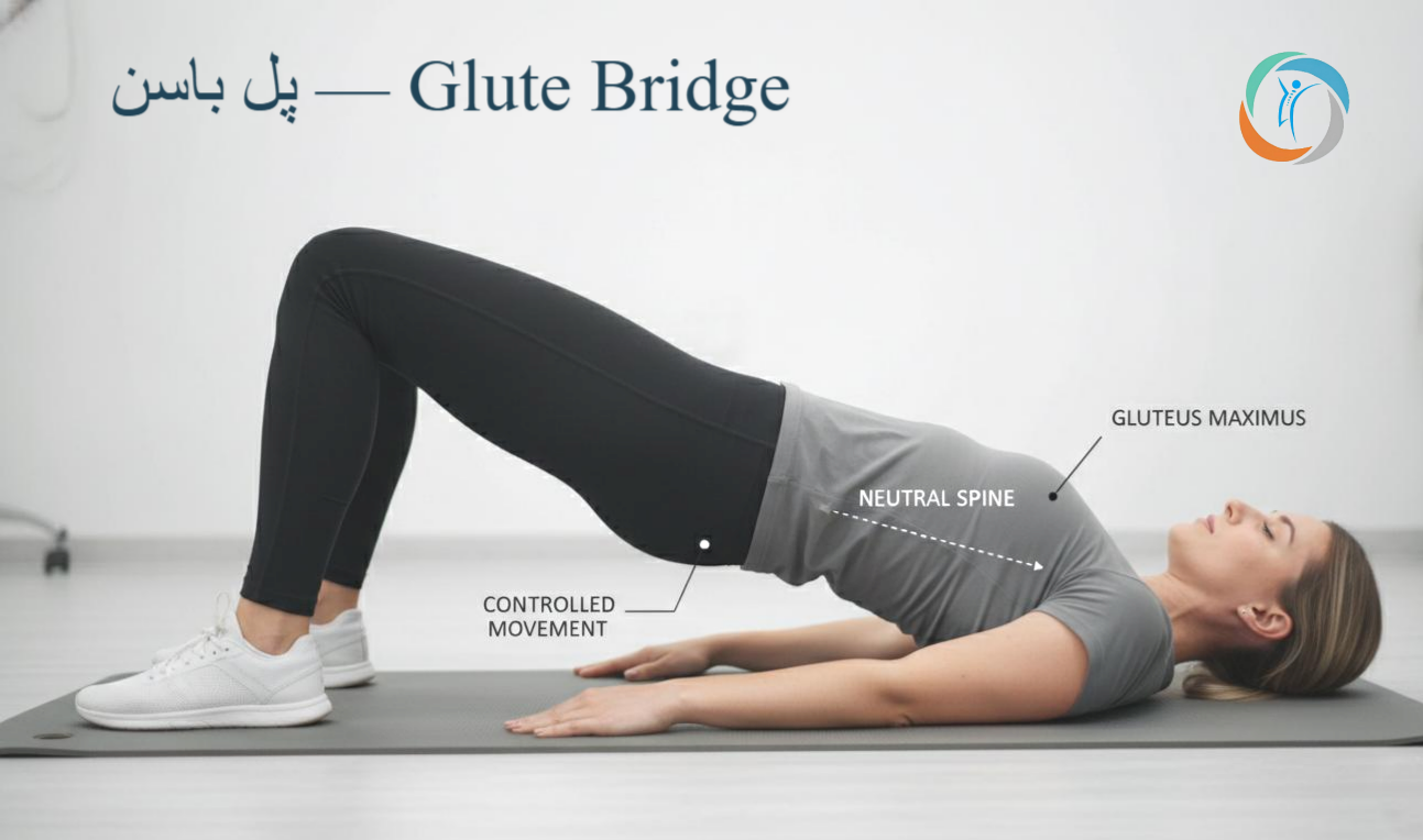 پل باسن — Glute Bridge