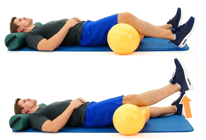  متخصص آرتروز زانو/ ورزش برای مینیسک زانو