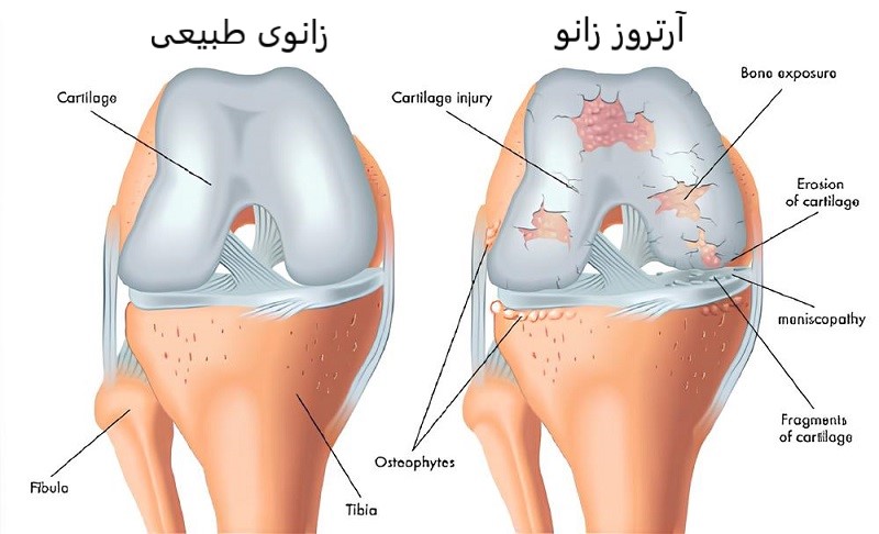 نظرات بیماران کلینیک دکتر نوری