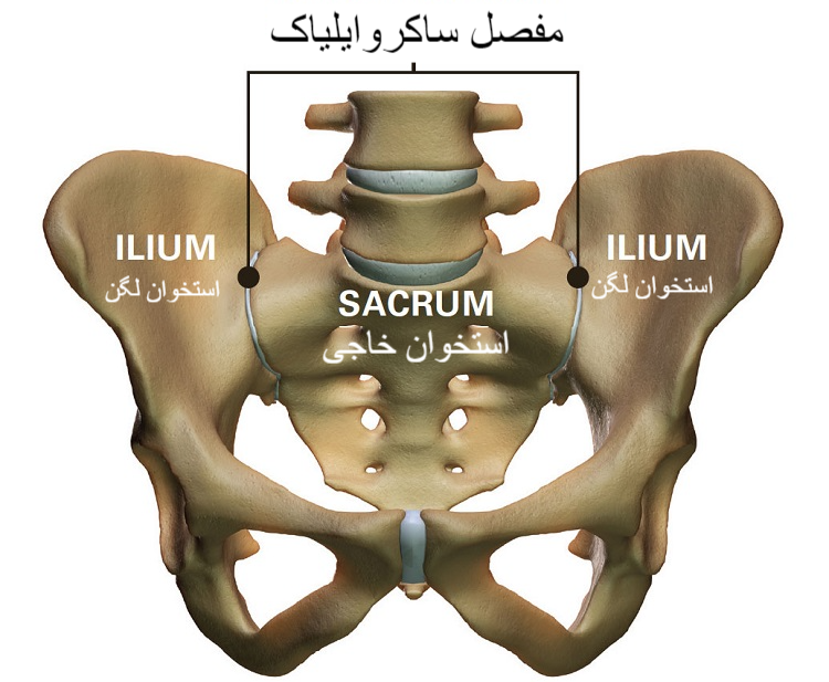درد باسن