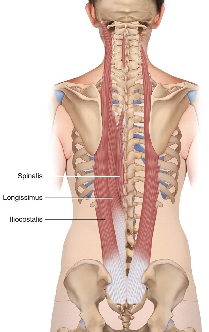 رگ به رگ شدن کمر